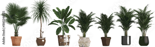 Collection of realistic indoor potted plants in modern and rustic pots, tropical houseplants set, green foliage decor isolated on neutral background