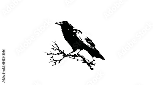 Mysterious black crow or raven silhouette perched on a barren branch against a white background, graphic vector illustration