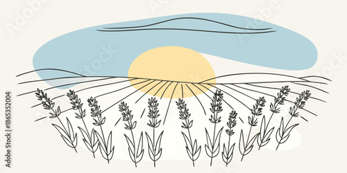 Lavender Field Sunrise