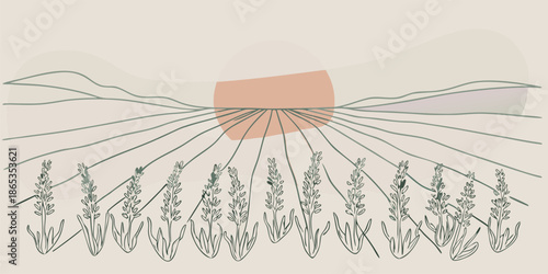 Lavender Field Sunrise