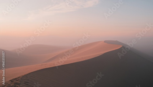 Dawn light over wind-swept ...