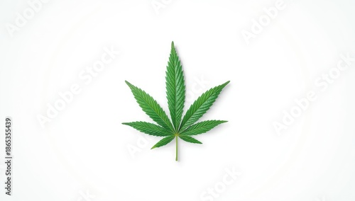 Cannabis leaf isolated on w...