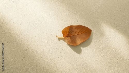 Flat dry leaf for editorial...