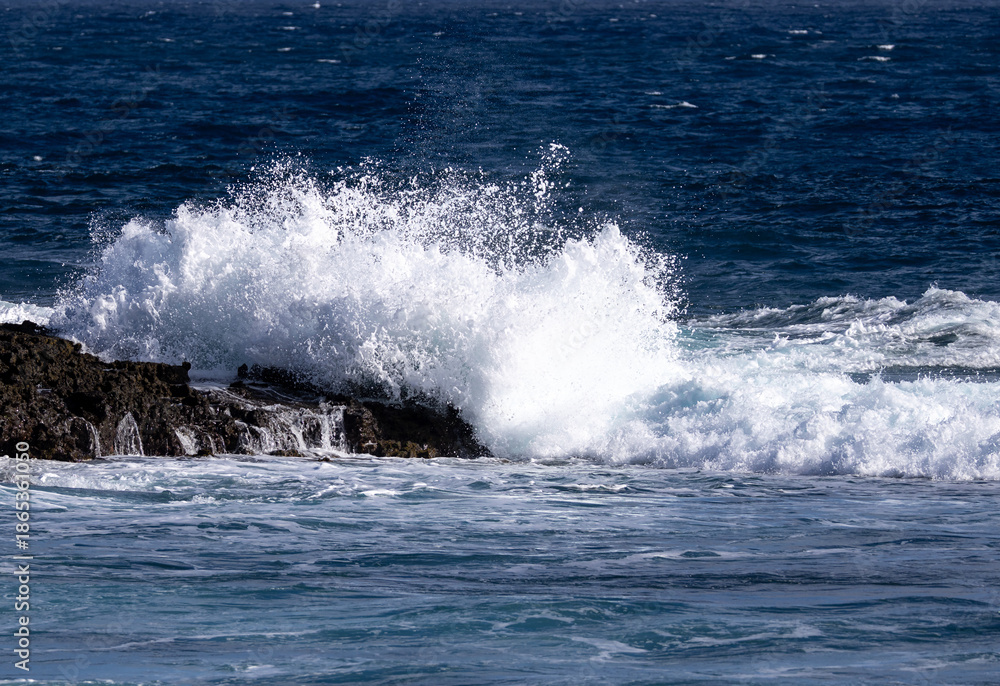 Fototapeta premium Brandung
