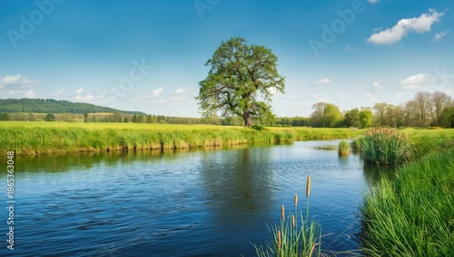 Serene river meandering pas...