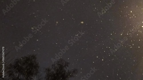 Winter snowfall with treetops and street light