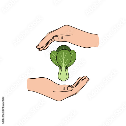 Hands protecting lettuce leaf in flat style for Veganuary, vegan care and eco-conscious food concept