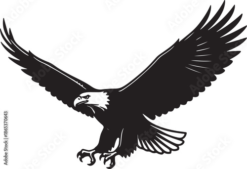 Black and white eagle with wings spread in flight also transparent background bird