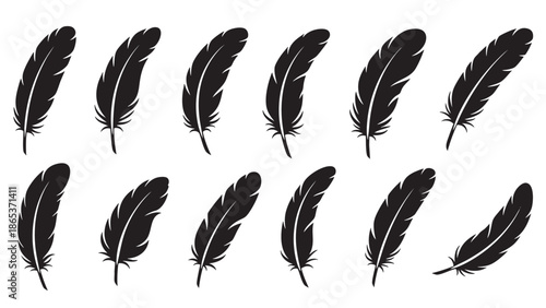 Set of twelve detailed realistic bird feathers isolated on transparent background