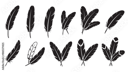 Set of various bird feathers isolated on transparent background