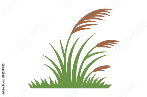 Green Marsh Grass and Wetland Reeds Illustration