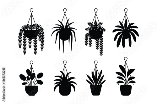 Indoor hanging plant silhouettes for interior design