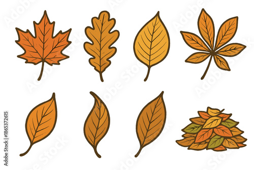 Autumn leaves flat icon set. featuring maple, oak, birch, chestnut, willow, elm, poplar, and leaf pile symbols