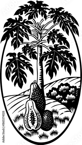 Misty Rainforest Sunrise with Ripe Papaya