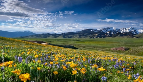 Spring Wildflowers In Idaho