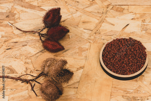 Annatto tree bixa orellana seeds 