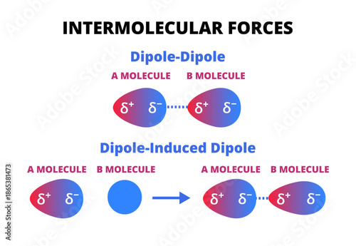 Illustration of dipole–dipole and induced dipole interactions, showing how polar and nonpolar molecules attract each other in intermolecular forces. Illustration is isolated on white background.