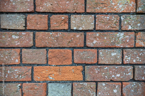 Bilde på lerret Red brick house wall background