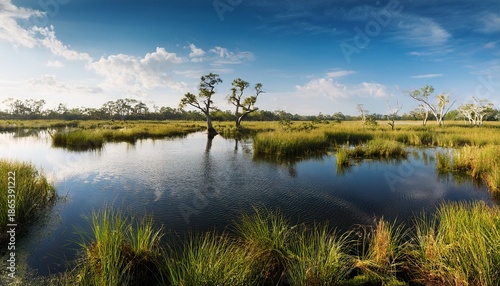 Mill Cove Wetlands Jacksonville 03