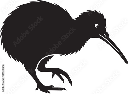 New Zealand Kiwi Bird Wildlife Silhouette
