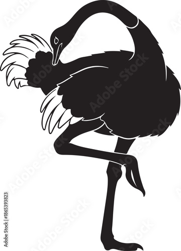 Elegant Ostrich Pose Silhouette Artwork