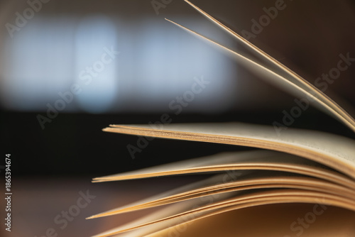 Fotografi Libro abierto sobre una mesa