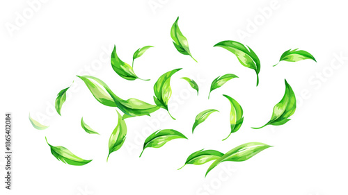 Watercolor illustration of fresh green leaves gracefully swirling in the air, symbolizing growth and nature's gentle movement