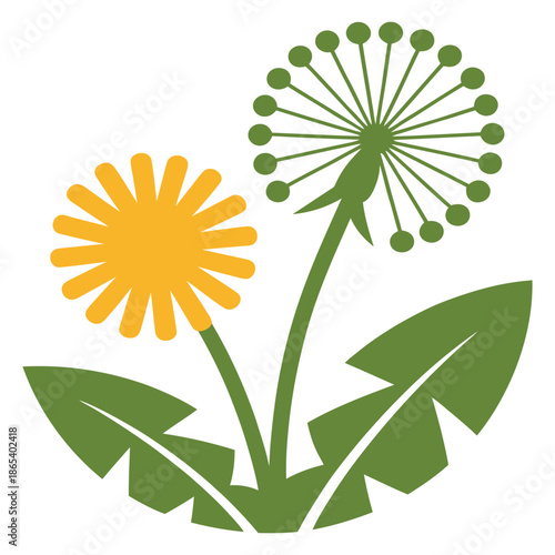 Stylized Vector Illustration Featuring Dandelion Flower with Fluffy Seed Head and Lush Green Leaves on White Background Symbolic of Springtime