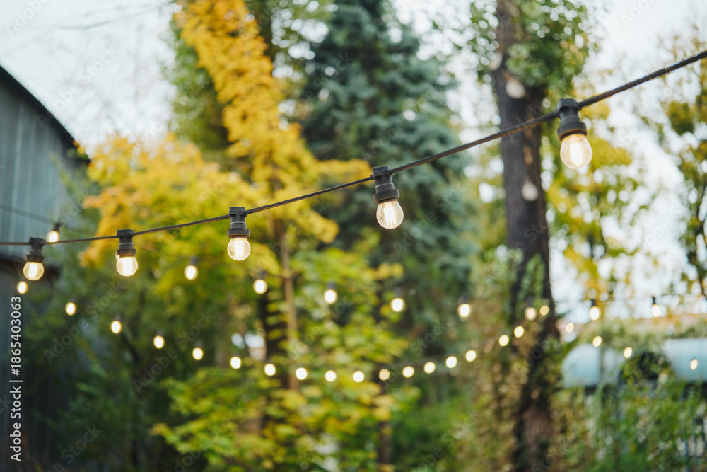 Obraz premium Outdoor string lights glowing softly in a garden with trees and fall foliage