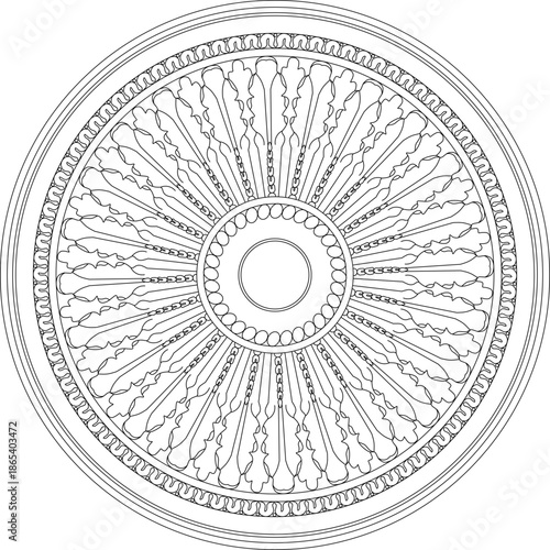 Technical vector of a circular ceiling rosette, featuring highly detailed radial patterns and intricate ornamental flourishes.
