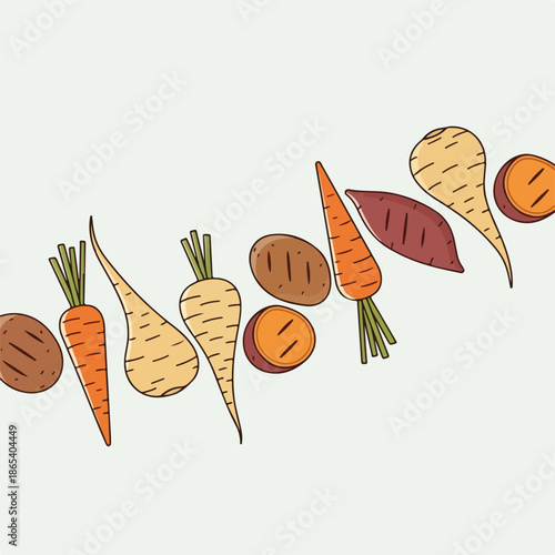Stylized root vegetables illustration featuring fresh carrots, parsnips, potatoes, and sweet potatoes. These colorful root vegetables provide essential nutrients, ideal for winter food.