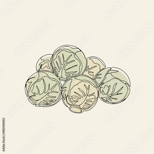 Line art Brussels sprouts illustration, showing green vegetables in a simple graphic style. Fresh sprouts represent ideal winter food, comforting hot food choice. Concept for cozy food recipes,