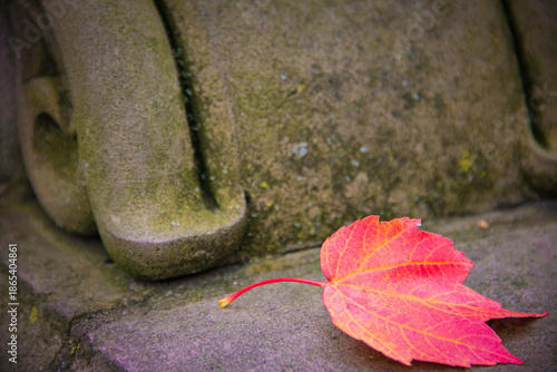 Photos Red maple leaf resting on ornate concrete surface with natural patina