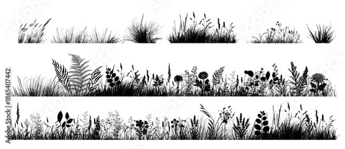 Silhouette of grass horizon. Border, meadow springtime, Hand drawn. Not AI, vector illustration
