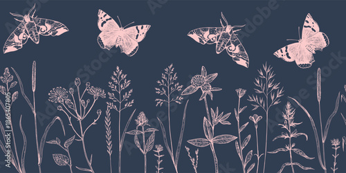 Seamless border with meadow plants, wild cereals and butterflies in sketchy hand-drawn style. Ink drawing, vector illustration.
