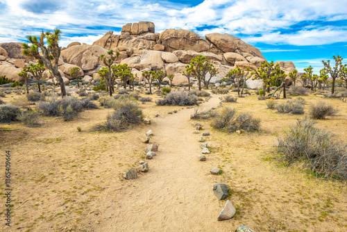 Canvas Print Scenic Rocky Landscape at Hall of Horrors Trail