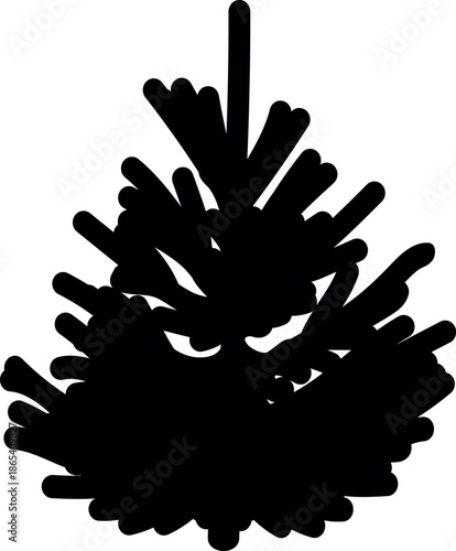 Black silhouette of young spruce tree isolated on a white background.