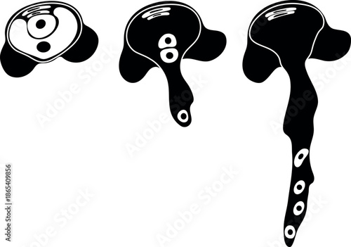 Black silhouette of pollen germination and pollen tube growth in gymnosperms