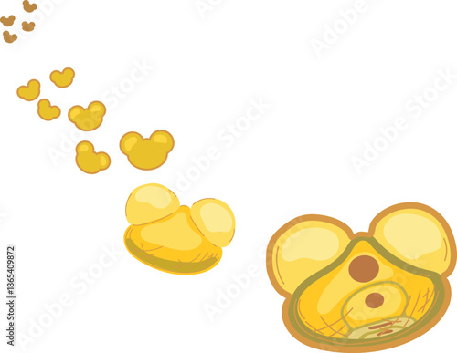 Flying pollen grains of gymnosperm with two sac wing isolated on white background