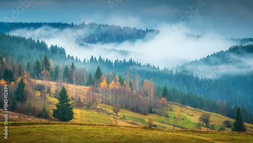 Wallpaper Mural fog above forest in Carpathian mountains in rainy day Torontodigital.ca