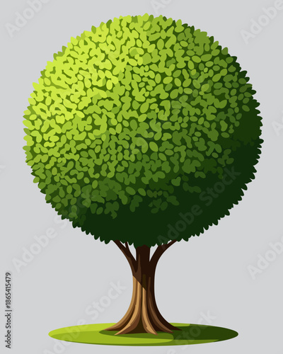 Vibrant green leafy tree in full bloom, casting a gentle shadow on the grassy ground, symbolizing nature's beauty and life's growth, perfect for environmental and organic themes