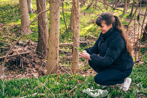 Woman collecting wild garlic in spring forest, sustainable foraging and connection with nature