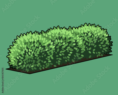 Lush green foliage forms a vibrant, dense garden hedge, meticulously designed to enhance landscape aesthetics and provide natural beauty for outdoor spaces