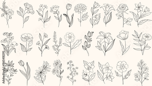 Set hand drawn curly grass and flowers