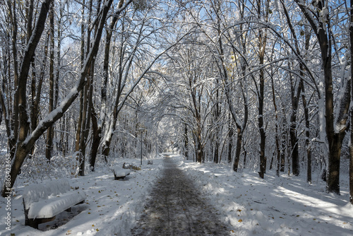 Landscape of South Park in city of Sofia, Bulgaria