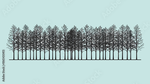 Silhouetted Trees in a Row Against a Light Blue Background.
