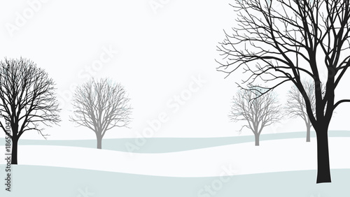 Winter Landscape with Bare Trees in Black and White.