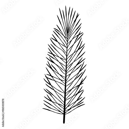 Tall straight evergreen branch with dense needles, classic conifer sprig illustration ideal for greeting cards, patterns and branding