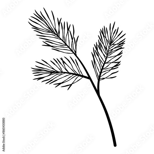 Slender upright evergreen branch with three main offshoots, simple hand drawn conifer sprig for winter cards and branding