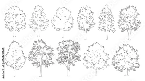 Minimalist Side View Trees, Vector Outlines for Blueprints
